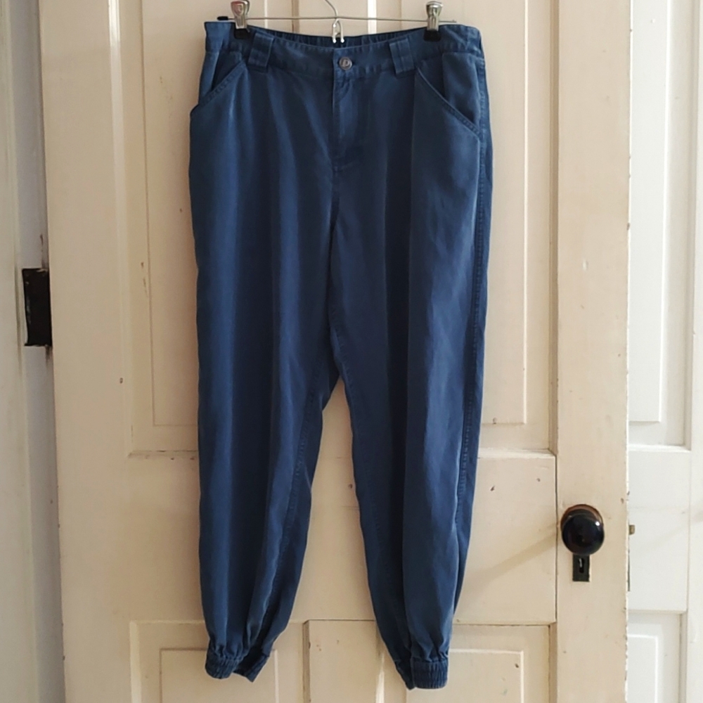 Patagonia Edge Win Joggers